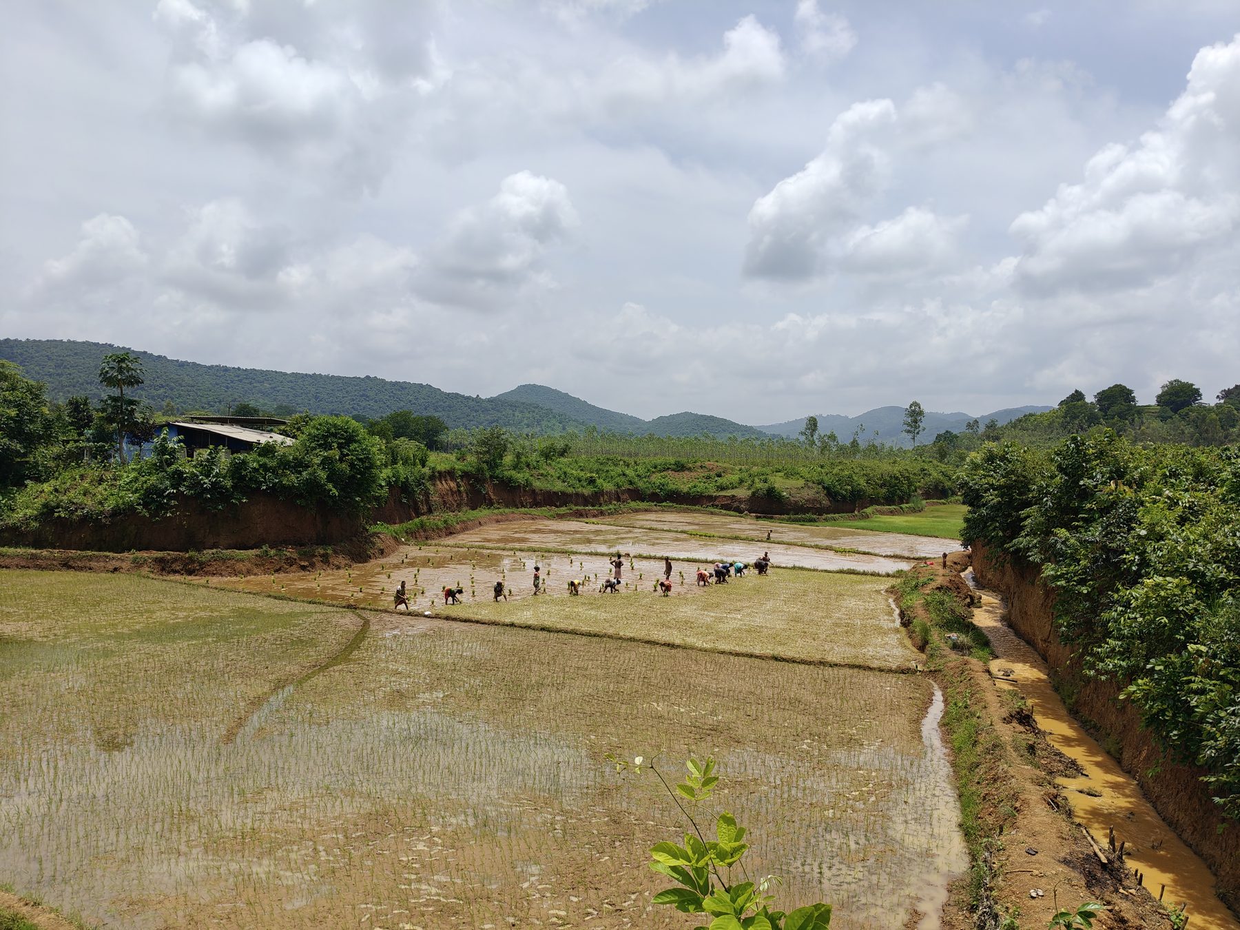 Satori Valley