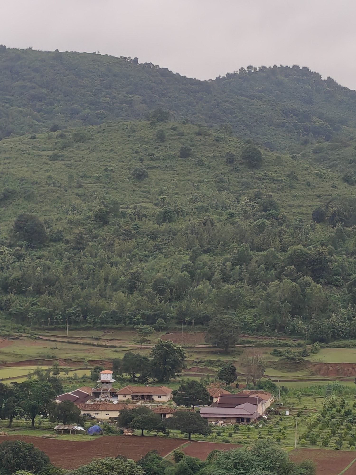 Satori Valley beneath the forested hills of the Eastern Ghats in the monsoon