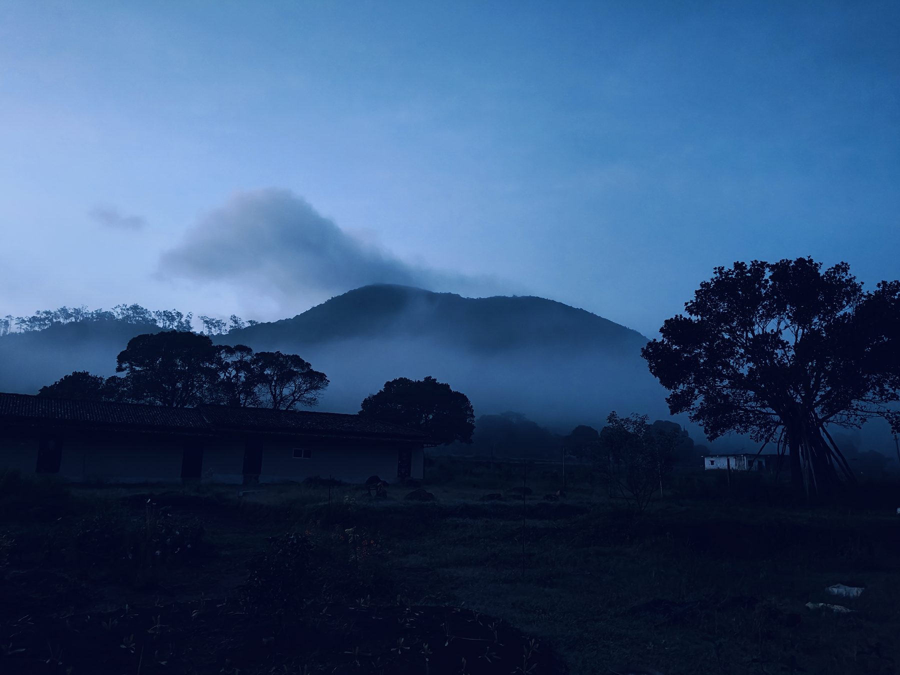 Satori Valley